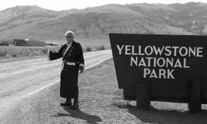 Yellowstone Hitchhiker