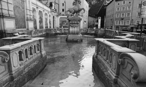 Horse Bath Salzburg
