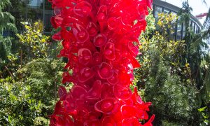 Chihuly Red