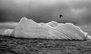 Svaalbard Iceberg