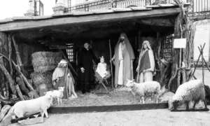 Cefalu Nativity