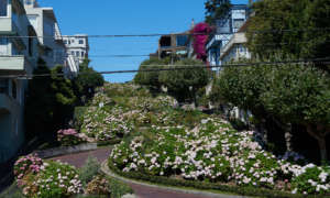 Lombard Street SF  