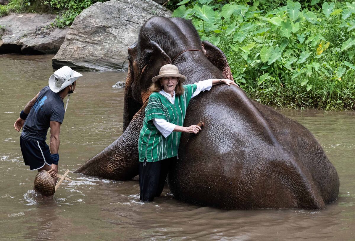ElephantWashing Chiang Mai, Thailand, Patara Elephant Farm