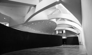 Serra in Guggenheim