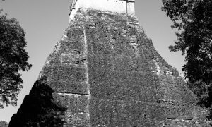 Tikal 38