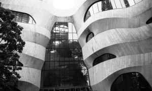 American Museum of Natural History