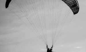 Paraglider