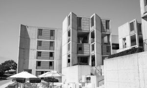 Salk Institute