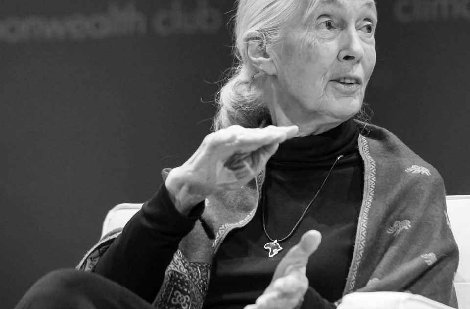 Jane Goodall: Primatologist, Baroness Jane van Lawick-Goodall,…